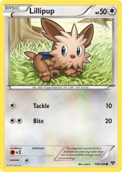 Lillipup 108/146<br/>match