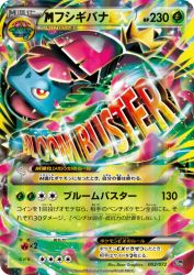 Mega Venusaur-EX 002/072
