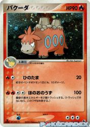 Camerupt 013/055