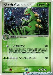 Sceptile 003/055