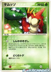 Wurmple 004/055