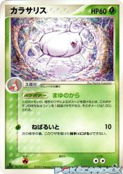 Silcoon 005/055