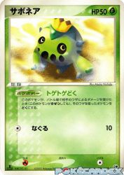 Cacnea 006/053