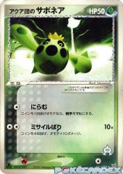Team Aqua's Cacnea 011/080