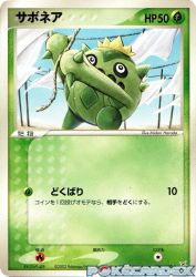Cacnea 007/080