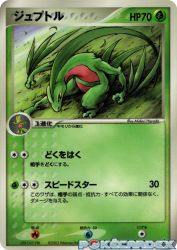 Grovyle 008/ADV-P
