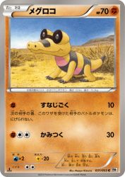 Sandile 031/053