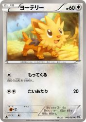 Lillipup 042/053
