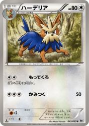 Herdier 043/053