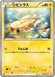 Tynamo 025/066