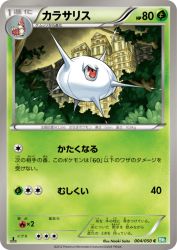 Silcoon 004/050