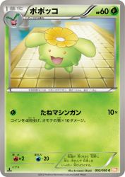 Skiploom 002/050