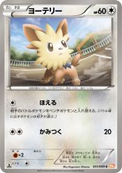 Lillipup 051/059