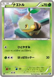 Turtwig 001/070