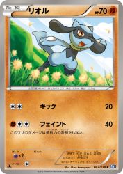 Riolu 042/070