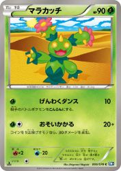 Maractus 006/070