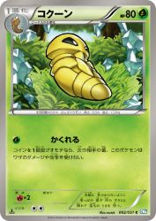 Kakuna 002/051