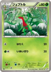 Grovyle 004/051