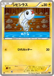 Tynamo 023/076