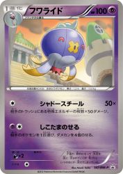 Drifblim 147/BW-P