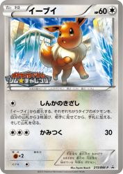Eevee 213/BW-P