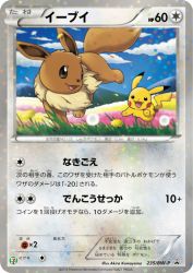 Eevee 235/BW-P