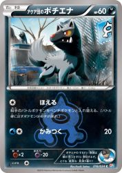 Team Aqua's Poochyena 016/034