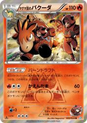 Team Magma's Camerupt 002/034