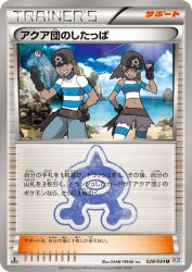 Team Aqua Grunt 028/034