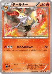 Braixen 004/027