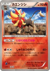Pyroar 021/131