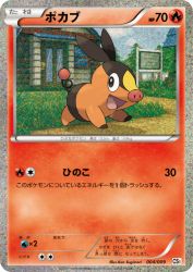 Tepig 004/009