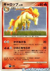 Rapidash —