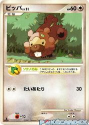 Bidoof —