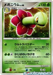 Meganium —