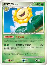 Sunflora —