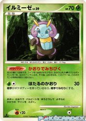 Illumise —
