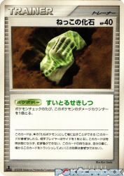 Root Fossil —