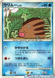 Swinub —