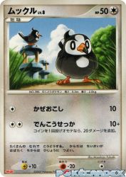 Starly 013/DP-P