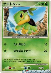 Turtwig 027/DP-P
