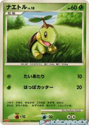 Turtwig 005/DP-P