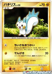 Pachirisu —