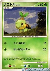 Turtwig —