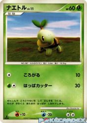 Turtwig —
