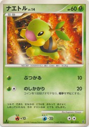 Turtwig 001/013