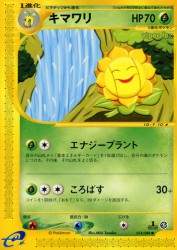 Sunflora 014/088