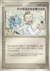Professor Elm's Training Method 013/016