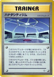 Cerulean City Gym —