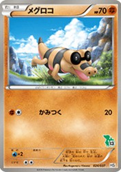 Sandile 024/037